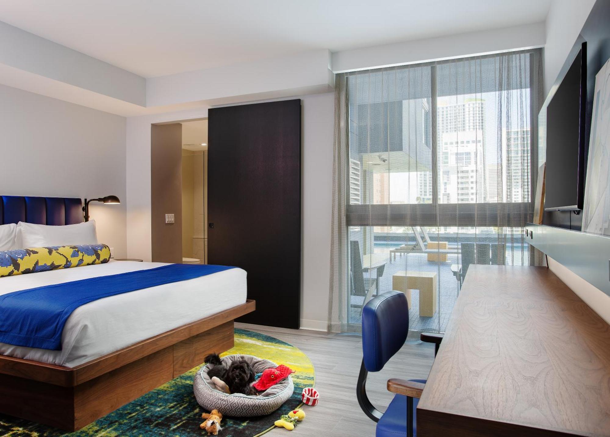 Hotel Indigo Miami Brickell, An Ihg Hotel Номер фото